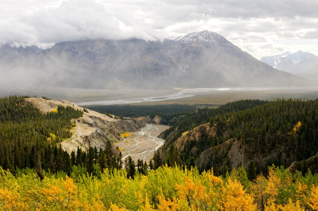 Yukon - Parc de Kluane