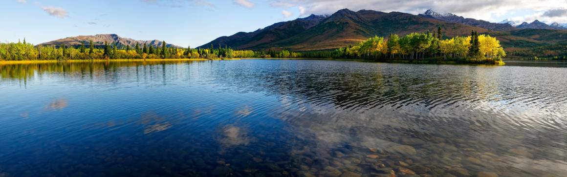 Alaska - Parc de Denali