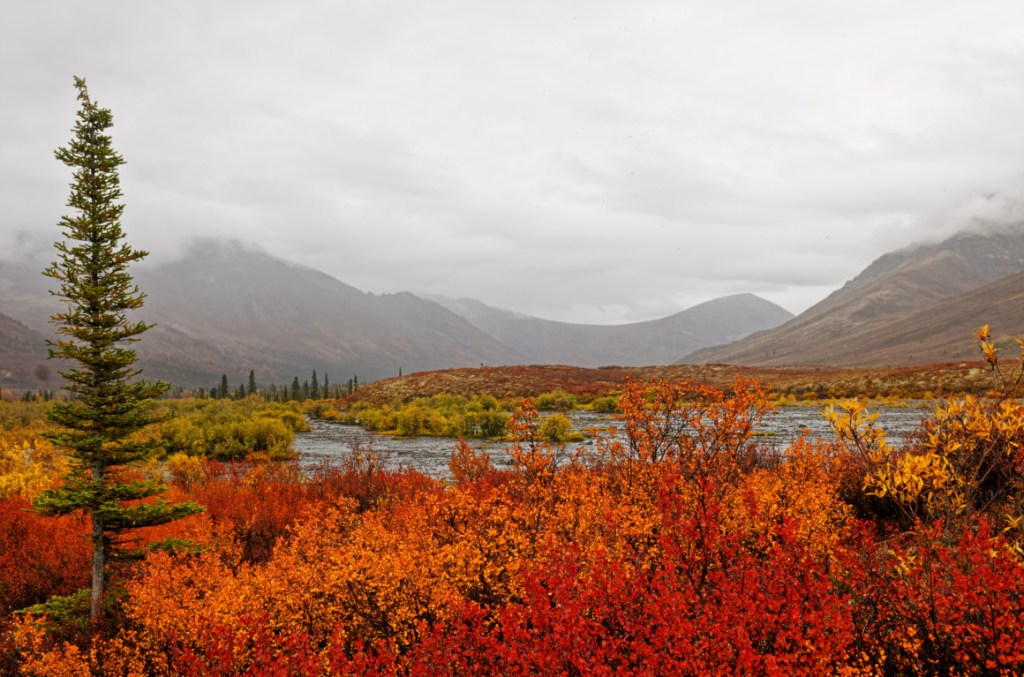 Yukon -Tombstone Mountain